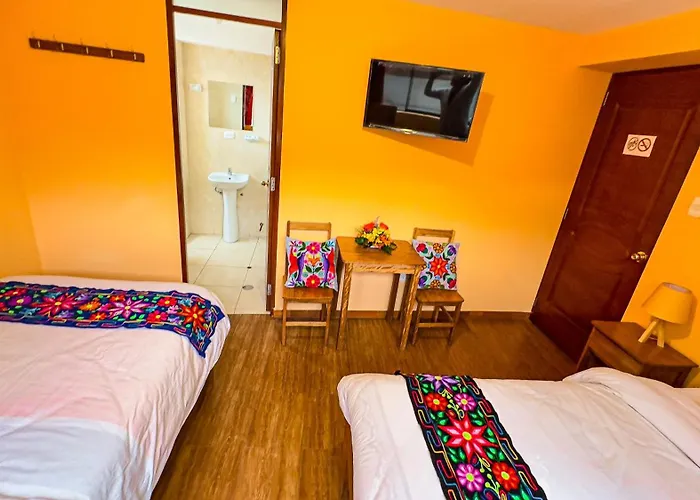 Andean Atoq Cusco