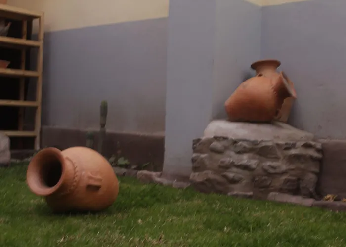 Andean Atoq * Cusco